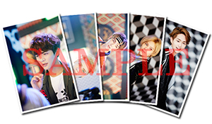 shinee_iyb_photo_sample_forweb.jpg