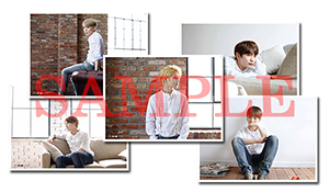 shinee_iyb_poster_sample_forweb.jpg