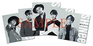 shinee_sample_jacket.jpg