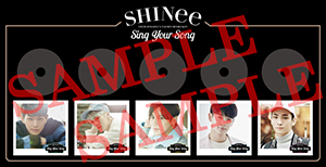 shinee_sys_display_sample.jpg