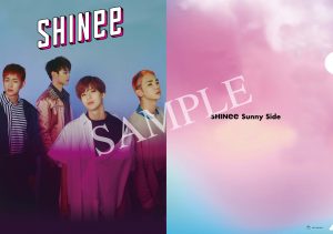 クリアファイルType -D