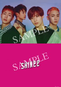 クリアファイル Type -E